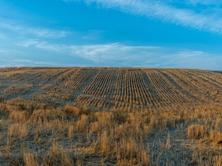 加拿大枫叶卡：助你顺利开启移民新生活